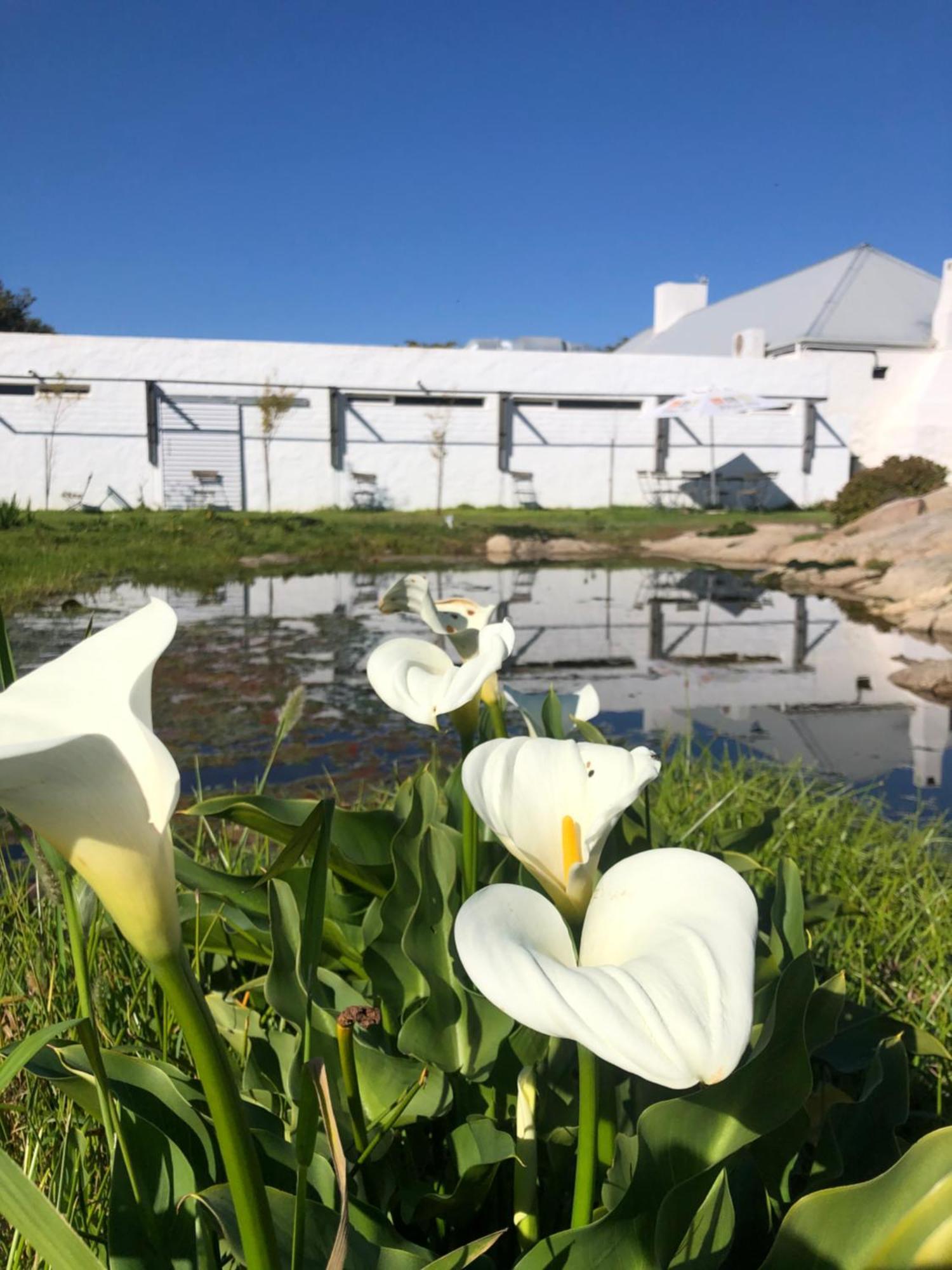 !Khwa Ttu Bed & Breakfast Swartwater Bagian luar foto