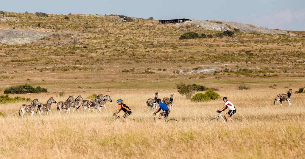!Khwa Ttu Bed & Breakfast Swartwater Bagian luar foto